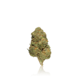 Bulk Budget