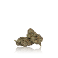 Exotic Flower