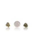Bulk Exotic Smalls