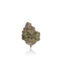 Bulk Premium