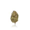 Budget Flower