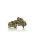 Exotic Flower
