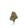 Budget Flower
