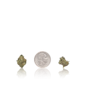 Bulk Exotic Smalls