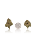 Budget Flower