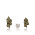 Premium Flower