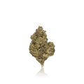 Budget Flower