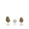 Value Flower