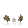 Premium Flower