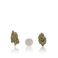 Value Flower