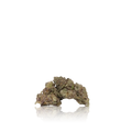 Premium Flower