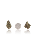 Premium Flower