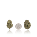 Value Flower
