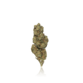 Budget Flower