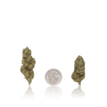 Budget Flower