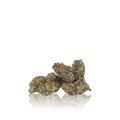Exotic Flower