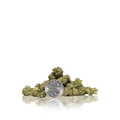 Exotic Smalls