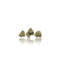 Exotic Smalls
