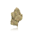Exotic Flower