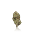 Bulk Premium