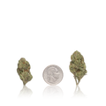 Bulk Premium