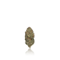 Bulk Premium