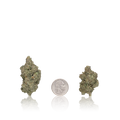 Bulk Premium