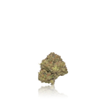 Bulk Premium
