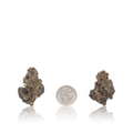 Bulk Premium