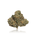 Premium Indoor Flower