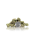Exotic Smalls