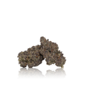 Exotic Flower