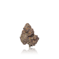Exotic Flower