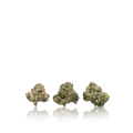Exotic Smalls