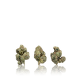 Exotic Smalls