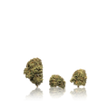 Premium Flower