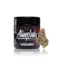 Premium Indoor Flower