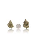 Premium Flower