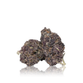 Exotic Flower