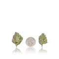Premium Flower