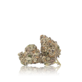 Exotic Flower