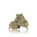 Exotic Flower