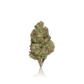 Bulk Premium