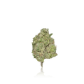 Premium Flower