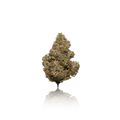 Premium Indoor Flower