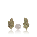 Premium Flower