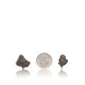 Premium Smalls