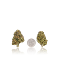 Bulk Budget