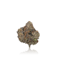 Exotic Flower