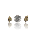 Exotic Smalls
